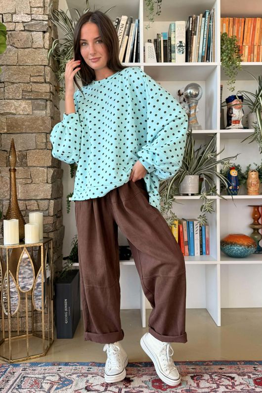 Scamp Lantern Sweatshirt Polka Dot Mint & Chocolate